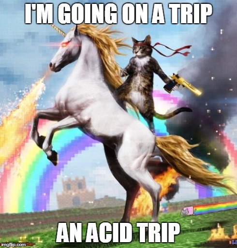 Welcome To The Internets | I'M GOING ON A TRIP AN ACID TRIP | image tagged in memes,welcome to the internets | made w/ Imgflip meme maker