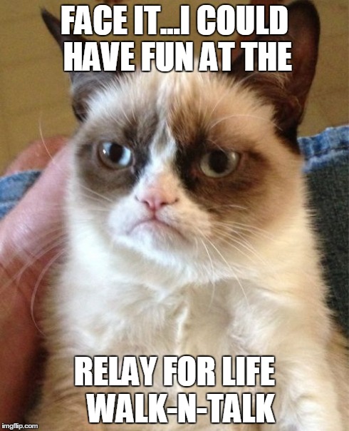 Grumpy Cat Meme | FACE IT...I COULD HAVE FUN AT THE RELAY FOR LIFE 
WALK-N-TALK | image tagged in memes,grumpy cat | made w/ Imgflip meme maker