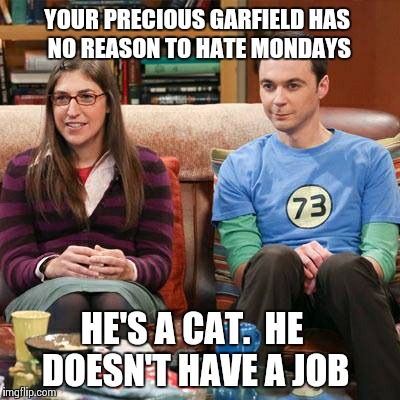 YOUR PRECIOUS GARFIELD HAS NO REASON TO HATE MONDAYS HE'S A CAT.  HE DOESN'T HAVE A JOB | image tagged in memes | made w/ Imgflip meme maker