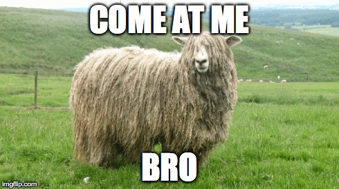 COME AT ME BRO | made w/ Imgflip meme maker