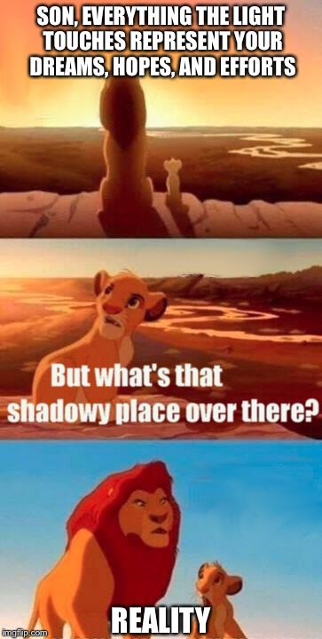 Simba Shadowy Place Meme | SON, EVERYTHING THE LIGHT TOUCHES REPRESENT YOUR DREAMS, HOPES, AND EFFORTS REALITY | image tagged in memes,simba shadowy place | made w/ Imgflip meme maker