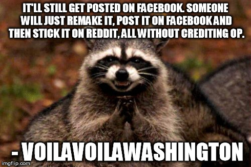 Evil Plotting Raccoon Meme | IT'LL STILL GET POSTED ON FACEBOOK. SOMEONE WILL JUST REMAKE IT, POST IT ON FACEBOOK AND THEN STICK IT ON REDDIT, ALL WITHOUT CREDITING OP.  | image tagged in memes,evil plotting raccoon | made w/ Imgflip meme maker