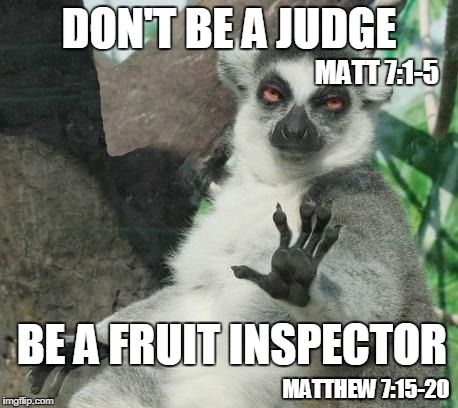 Stoner Lemur | DON'T BE A JUDGE BE A FRUIT INSPECTOR MATT 7:1-5 MATTHEW 7:15-20 | image tagged in memes,stoner lemur | made w/ Imgflip meme maker