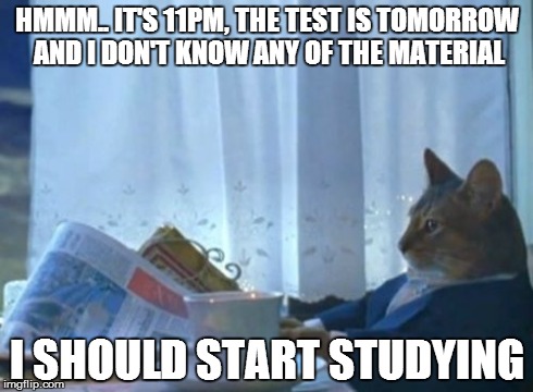 My friend on the phone last night. | HMMM.. IT'S 11PM, THE TEST IS TOMORROW AND I DON'T KNOW ANY OF THE MATERIAL I SHOULD START STUDYING | image tagged in memes,i should buy a boat cat | made w/ Imgflip meme maker