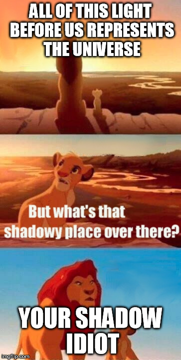 Idiot | ALL OF THIS LIGHT BEFORE US REPRESENTS THE UNIVERSE YOUR SHADOW IDIOT | image tagged in memes,simba shadowy place | made w/ Imgflip meme maker