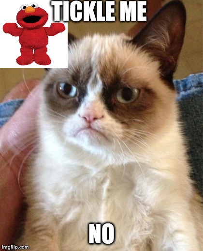 Grumpy Cat | image tagged in memes,grumpy cat | made w/ Imgflip meme maker