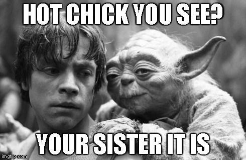 Luke&Yoda | HOT CHICK YOU SEE? YOUR SISTER IT IS | image tagged in lukeyoda | made w/ Imgflip meme maker