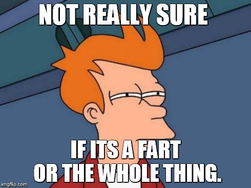 Futurama Fry | NOT REALLY SURE IF ITS A FART OR THE WHOLE THING. | image tagged in memes,futurama fry | made w/ Imgflip meme maker