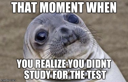 Awkward Moment Sealion | THAT MOMENT WHEN YOU REALIZE YOU DIDNT STUDY FOR THE TEST | image tagged in memes,awkward moment sealion | made w/ Imgflip meme maker