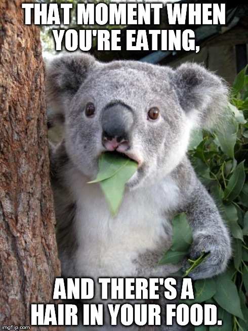 Surprised Koala | THAT MOMENT WHEN YOU'RE EATING, AND THERE'S A HAIR IN YOUR FOOD. | image tagged in memes,surprised koala | made w/ Imgflip meme maker