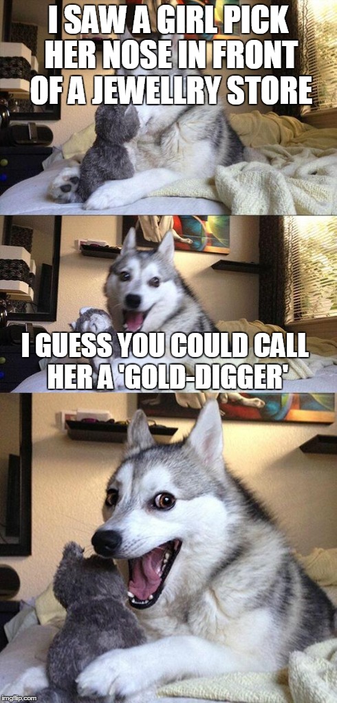 Bad Pun Dog | I SAW A GIRL PICK HER NOSE IN FRONT OF A JEWELLRY STORE I GUESS YOU COULD CALL HER A 'GOLD-DIGGER' | image tagged in memes,bad pun dog | made w/ Imgflip meme maker