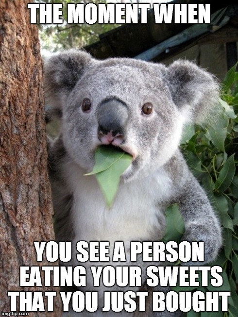 Surprised Koala Meme | THE MOMENT WHEN YOU SEE A PERSON EATING YOUR SWEETS THAT YOU JUST BOUGHT | image tagged in memes,surprised coala | made w/ Imgflip meme maker
