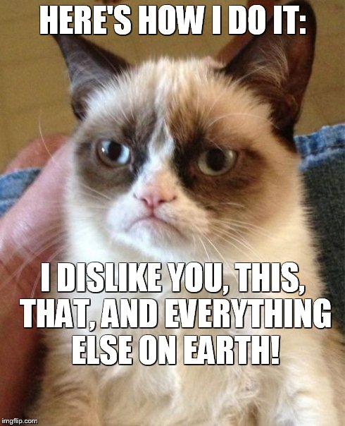 Grumpy Cat Meme | HERE'S HOW I DO IT: I DISLIKE YOU, THIS, THAT, AND EVERYTHING ELSE ON EARTH! | image tagged in memes,grumpy cat | made w/ Imgflip meme maker