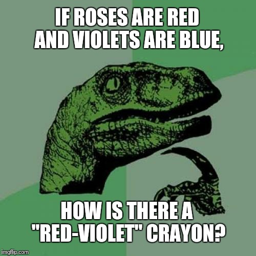 Philosoraptor Meme | IF ROSES ARE RED AND VIOLETS ARE BLUE, HOW IS THERE A "RED-VIOLET" CRAYON? | image tagged in memes,philosoraptor | made w/ Imgflip meme maker