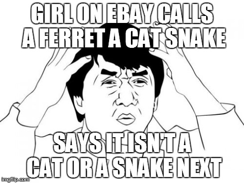 Jackie Chan WTF Meme | GIRL ON EBAY CALLS A FERRET A CAT SNAKE SAYS IT ISN'T A CAT OR A SNAKE NEXT | image tagged in memes,jackie chan wtf | made w/ Imgflip meme maker
