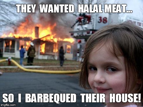 Disaster Girl | THEY  WANTED  HALAL MEAT... SO  I  BARBEQUED  THEIR  HOUSE! | image tagged in memes,disaster girl | made w/ Imgflip meme maker