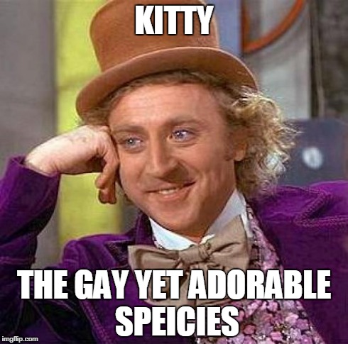 KITTY THE GAY YET ADORABLE SPEICIES | image tagged in memes,creepy condescending wonka | made w/ Imgflip meme maker