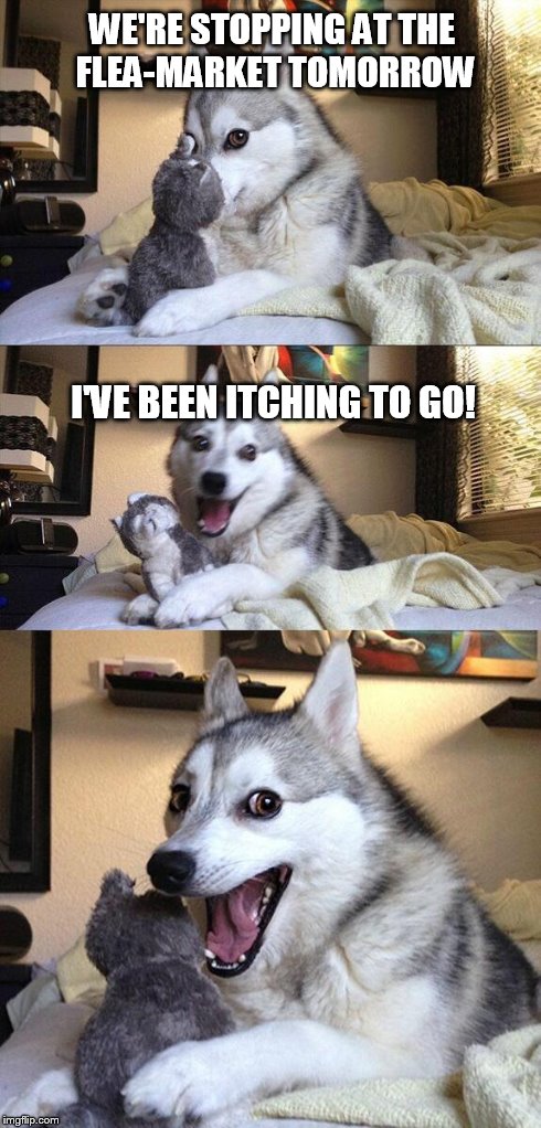 Bad Pun Dog Meme | WE'RE STOPPING AT THE FLEA-MARKET TOMORROW I'VE BEEN ITCHING TO GO! | image tagged in memes,bad pun dog | made w/ Imgflip meme maker