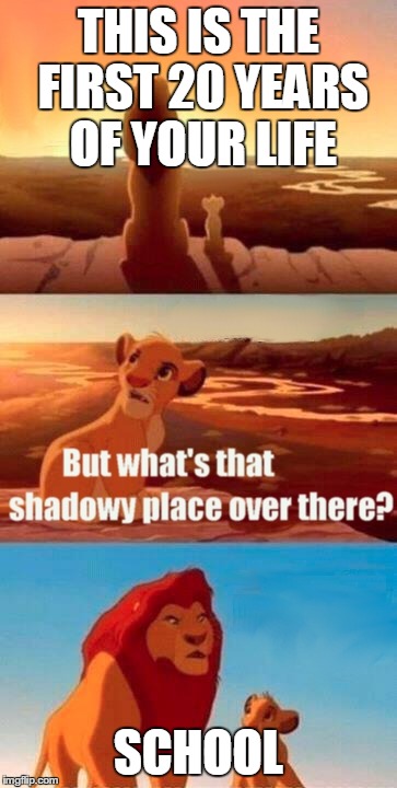 School | THIS IS THE FIRST 20 YEARS OF YOUR LIFE SCHOOL | image tagged in memes,simba shadowy place | made w/ Imgflip meme maker