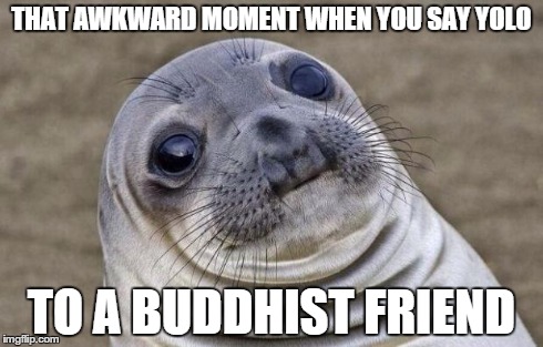 Awkward Moment Sealion | THAT AWKWARD MOMENT WHEN YOU SAY YOLO TO A BUDDHIST FRIEND | image tagged in memes,awkward moment sealion | made w/ Imgflip meme maker