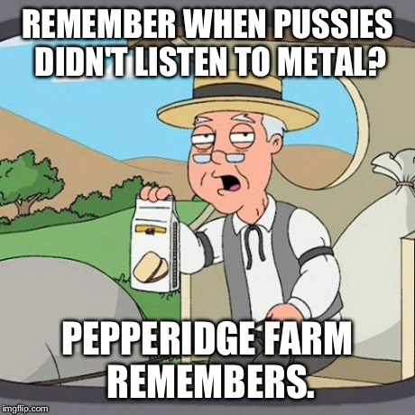 How the Hell did This Happen? | REMEMBER WHEN PUSSIES DIDN'T LISTEN TO METAL? PEPPERIDGE FARM REMEMBERS. | image tagged in memes,pepperidge farm remembers,metal | made w/ Imgflip meme maker