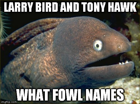This Joke Is For the Birds. | LARRY BIRD AND TONY HAWK WHAT FOWL NAMES | image tagged in memes,bad joke eel | made w/ Imgflip meme maker