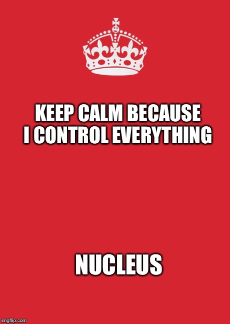 Keep Calm And Carry On Red | KEEP CALM BECAUSE I CONTROL EVERYTHING NUCLEUS | image tagged in memes,keep calm and carry on red | made w/ Imgflip meme maker