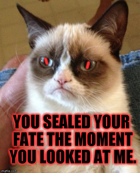 GAME OVER MAN!!! | YOU SEALED YOUR FATE THE MOMENT YOU LOOKED AT ME. / | image tagged in memes,grumpy cat,funny,scary | made w/ Imgflip meme maker