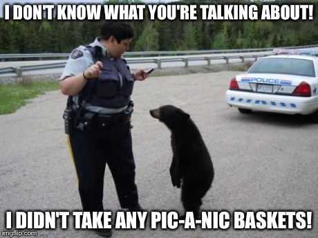 Canadian Cop | I DON'T KNOW WHAT YOU'RE TALKING ABOUT! I DIDN'T TAKE ANY PIC-A-NIC BASKETS! | image tagged in canadian cop | made w/ Imgflip meme maker