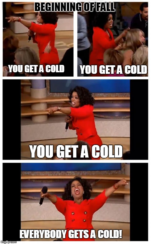 Oprah You Get A Car Everybody Gets A Car Meme | BEGINNING OF FALL YOU GET A COLD YOU GET A COLD YOU GET A COLD EVERYBODY GETS A COLD! | image tagged in oprah | made w/ Imgflip meme maker