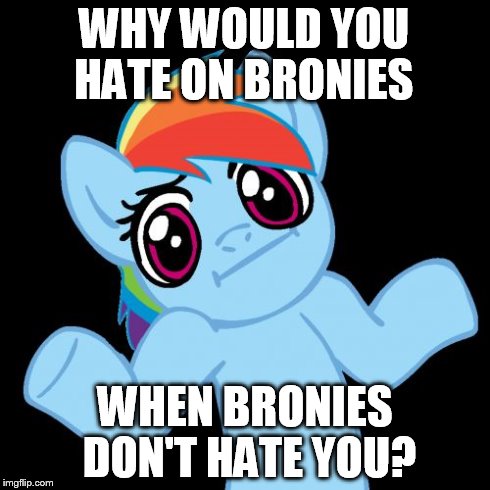 Pony Shrugs | WHY WOULD YOU HATE ON BRONIES WHEN BRONIES DON'T HATE YOU? | image tagged in memes,pony shrugs | made w/ Imgflip meme maker