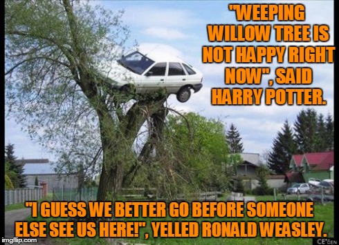 Secure Parking Meme | "WEEPING WILLOW TREE IS NOT HAPPY RIGHT NOW", SAID HARRY POTTER. "I GUESS WE BETTER GO BEFORE SOMEONE ELSE SEE US HERE!", YELLED RONALD WEAS | image tagged in memes,secure parking | made w/ Imgflip meme maker