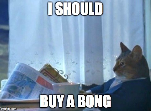 I Should Buy A Boat Cat Meme | I SHOULD BUY A BONG | image tagged in memes,i should buy a boat cat,see | made w/ Imgflip meme maker