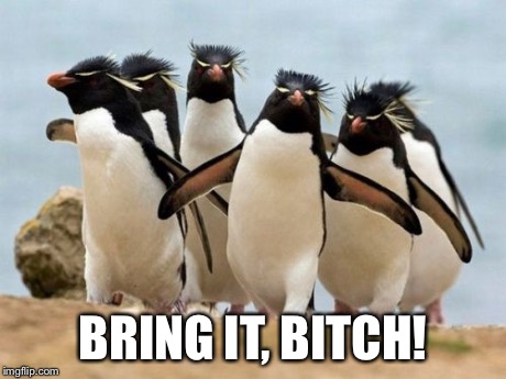 Penguin Gang | BRING IT, B**CH! | image tagged in memes,penguin gang | made w/ Imgflip meme maker