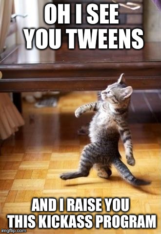 Cool Cat Stroll Meme | OH I SEE YOU TWEENS AND I RAISE YOU THIS KICKASS PROGRAM | image tagged in cool cat stroll | made w/ Imgflip meme maker