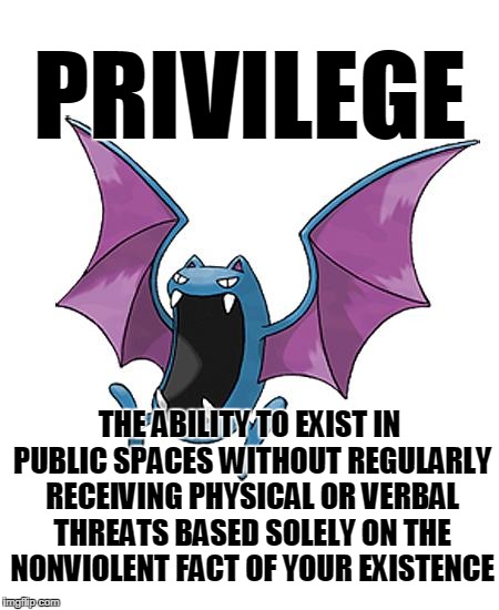 Equality Golbat | PRIVILEGE THE ABILITY TO EXIST IN PUBLIC SPACES WITHOUT REGULARLY RECEIVING PHYSICAL OR VERBAL THREATS BASED SOLELY ON THE NONVIOLENT FACT O | image tagged in equality golbat | made w/ Imgflip meme maker