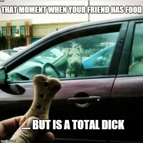 Friends who don't share food go to hell | THAT MOMENT WHEN YOUR FRIEND HAS FOOD .... BUT IS A TOTAL DICK | image tagged in dog in car,friends who don't share food,hungry,douche friend,bad friend,first world problems | made w/ Imgflip meme maker