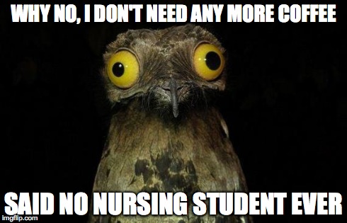 Weird Stuff I Do Potoo Meme | WHY NO, I DON'T NEED ANY MORE COFFEE SAID NO NURSING STUDENT EVER | image tagged in memes,weird stuff i do potoo | made w/ Imgflip meme maker