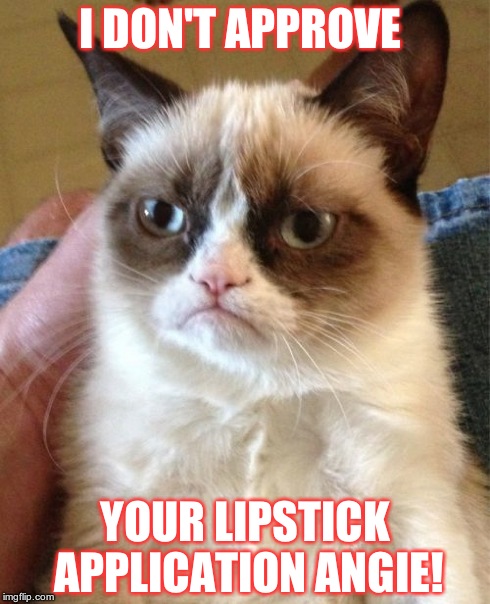 Grumpy Cat Meme | I DON'T APPROVE YOUR LIPSTICK APPLICATION ANGIE! | image tagged in memes,grumpy cat | made w/ Imgflip meme maker