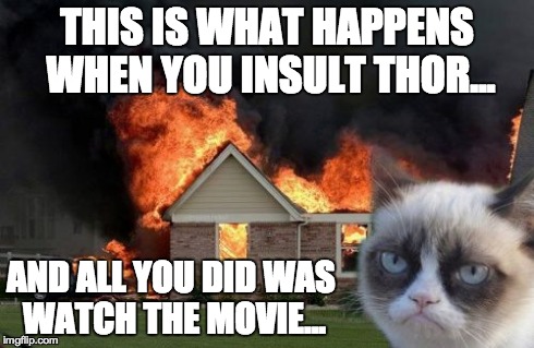 Burn Kitty | THIS IS WHAT HAPPENS WHEN YOU INSULT THOR... AND ALL YOU DID WAS WATCH THE MOVIE... | image tagged in memes,burn kitty | made w/ Imgflip meme maker