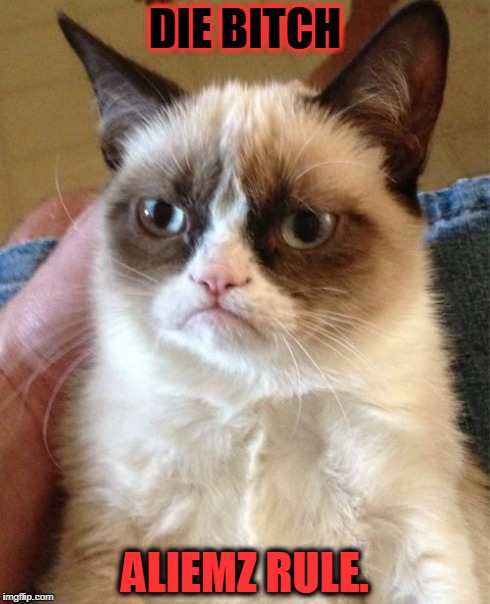 Grumpy Cat Meme | DIE B**CH ALIEMZ RULE. | image tagged in memes,grumpy cat | made w/ Imgflip meme maker