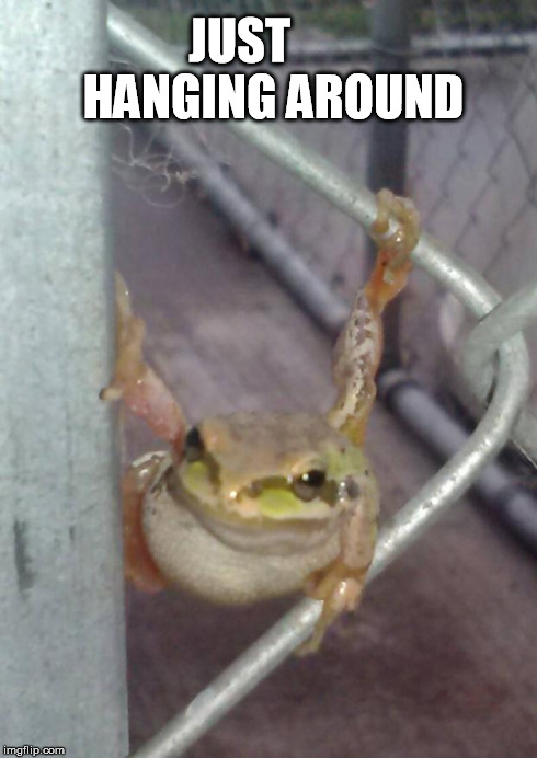 HANGING AROUND | JUST       HANGINGAROUND | image tagged in hang around,frogs | made w/ Imgflip meme maker