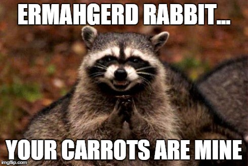 Evil Plotting Raccoon | ERMAHGERD RABBIT... YOUR CARROTS ARE MINE | image tagged in memes,evil plotting raccoon | made w/ Imgflip meme maker