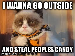 I am literally gonna do this | I WANNA GO OUTSIDE AND STEAL PEOPLES CANDY | image tagged in grumpy cat halloween,halloween,grumpy cat,cat,cats,grumpy | made w/ Imgflip meme maker