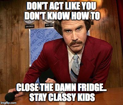 ron burgundy | DON'T ACT LIKE YOU DON'T KNOW HOW TO CLOSE THE DAMN FRIDGE.. STAY CLASSY KIDS | image tagged in ron burgundy | made w/ Imgflip meme maker