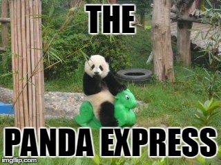 PANDA EXPRESS | THE PANDA EXPRESS | image tagged in panda | made w/ Imgflip meme maker