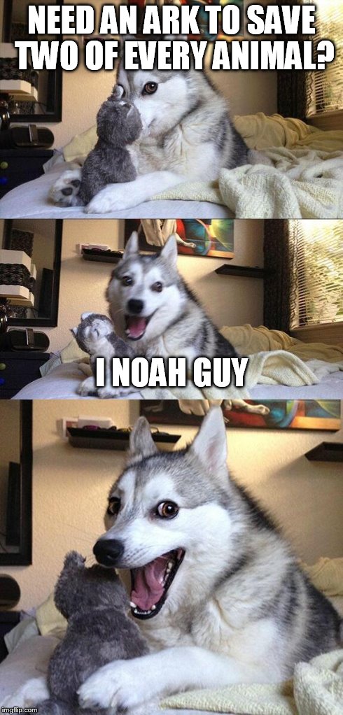 Bad Pun Dog | NEED AN ARK TO SAVE TWO OF EVERY ANIMAL? I NOAH GUY | image tagged in memes,bad pun dog | made w/ Imgflip meme maker