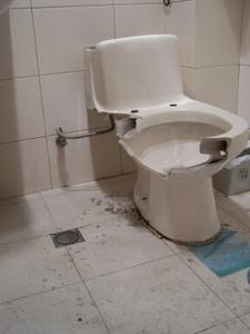 High Quality toilet Blank Meme Template