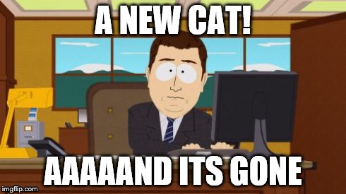 Aaaaand Its Gone Meme | A NEW CAT! AAAAAND ITS GONE | image tagged in memes,aaaaand its gone | made w/ Imgflip meme maker