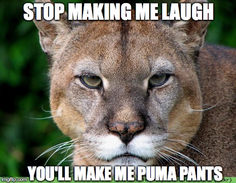 STOP MAKING ME LAUGH YOU'LL MAKE ME PUMA PANTS | made w/ Imgflip meme maker
